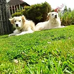 La Belle Vue Holiday home *